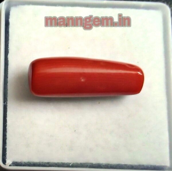 6.27 Ratti 5.71 CT Natural Red Coral (Munga) Real Moonga Gemstone/Birthstone for Men and Women - Image 2