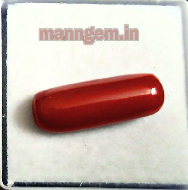 6.32 Ratti 5.76 CT Natural Red Coral (Munga) Real Moonga Gemstone/Birthstone for Men and Women - Image 2