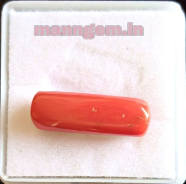 6.60 Ratti Natural Red Coral (Munga) Real Moonga Gemstone/Birthstone for Men and Women - Image 2